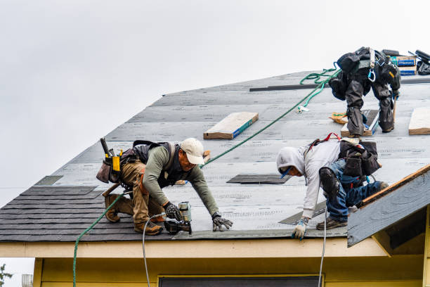 Professional Gutter Installation technician working in Kenova, WV